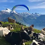Sunny Design In With Spectacular View On Mount Titlis *