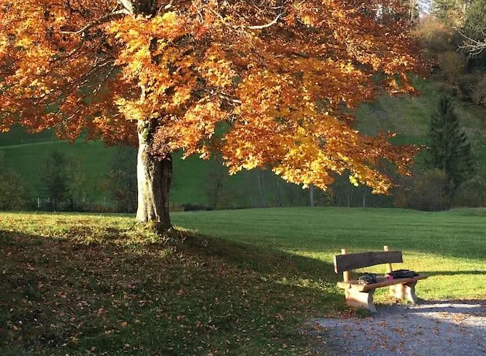 Sunny Design In With Spectacular View On Mount Titlis Dağ evi *