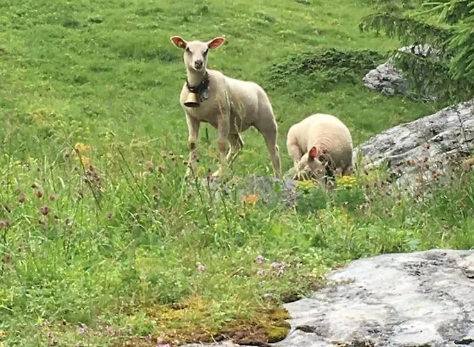 Sunny Design In With Spectacular View On Mount Titlis Dağ evi Engelberg
