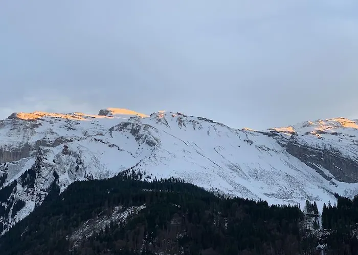 Dağ evi Sunny Design In With Spectacular View On Mount Titlis