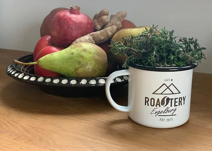 Sunny Design In With Spectacular View On Mount Titlis Dağ evi