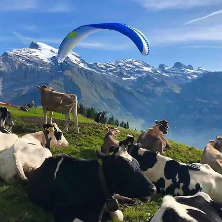 Sunny Design In With Spectacular View On Mount Titlis *