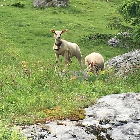 Sunny Design In With Spectacular View On Mount Titlis Шале Енгельберг