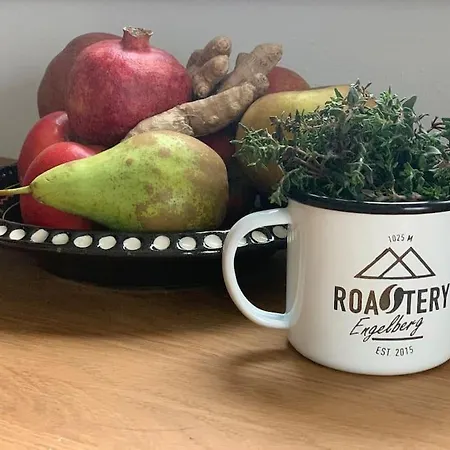 Sunny Design In With Spectacular View On Mount Titlis Шале